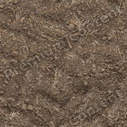 Photo Textures of Seamless Soil